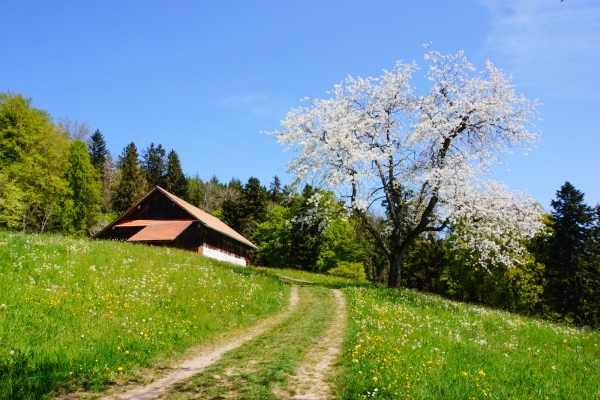 Von Dorf zu Dorf im ländlichen Luzern