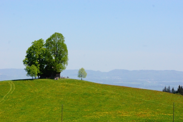 Le canton de Lucerne côté campagne 