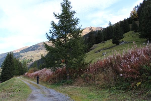 Sulle orme dei pellegrini nella Val d’Entremont