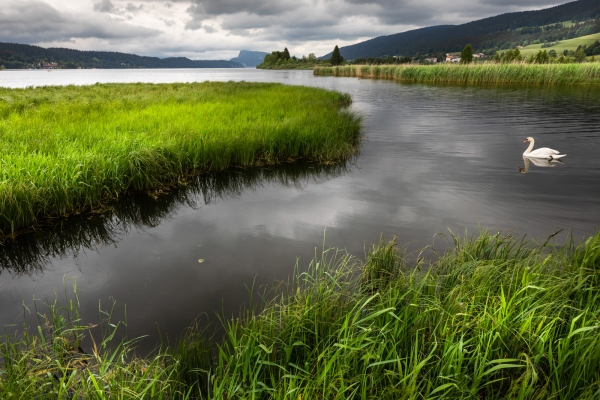 Sur les rives du lac de Joux