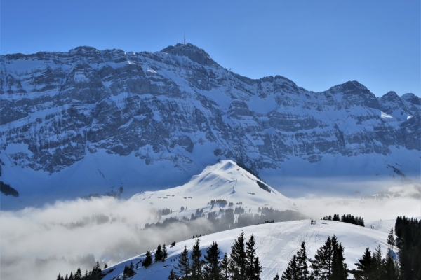 De colline en colline en Appenzell