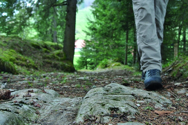 Alte Neuenburger Wege neu entdeckt