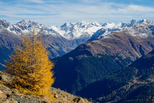 Sur les hauts de Davos direction Schatzalp