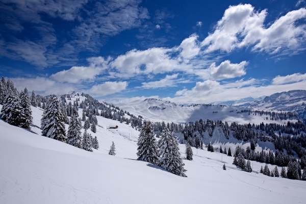 Winterwandern mit Bergpanorama