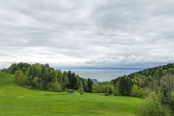 Entraînement dans l’avant-pays appenzellois 