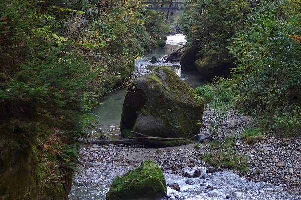 Im Galterengraben bei Freiburg