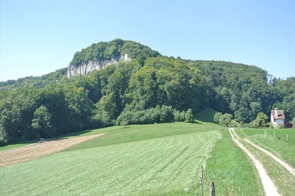 Die Hochburg der Ruinen