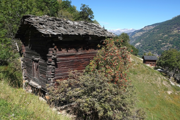 Les environs champêtres de Grimentz