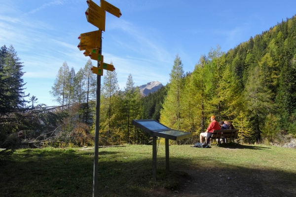 Randonnée le long d’un bisse du Bas-Valais