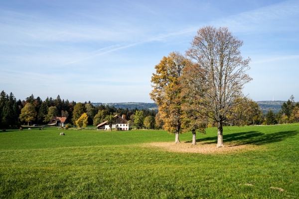 Le Jura entre Sonvilier et Le Noirmont