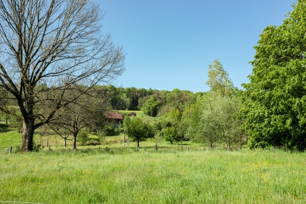 Attraverso la città, nella natura ZH