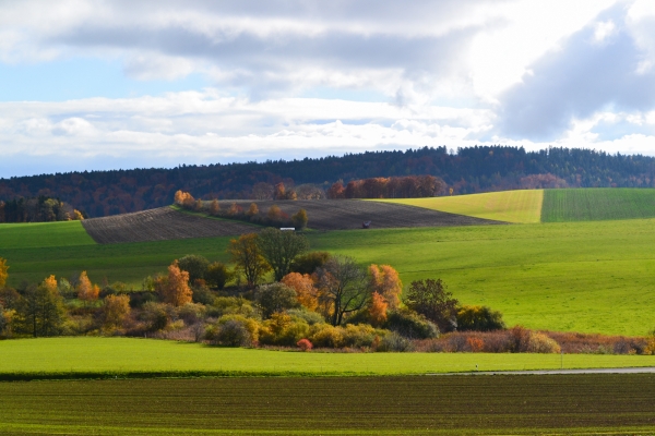 De Gimel au vignoble de La Côte