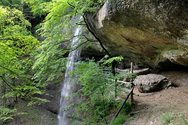 Sagenlandschaft in Zürichs wilder Ecke ZH