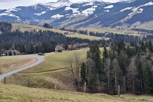 Halbtageswanderung Wattwil - Heiterswil - Scherrer