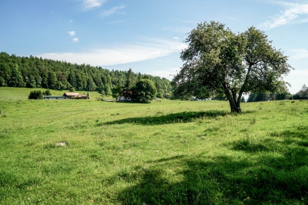 Über mehrere Jurafalten nach Moutier