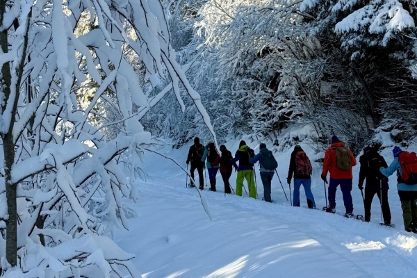 Schneeschuhwanderung im Sarner Hohwald