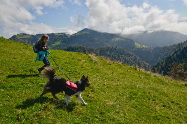 Über den Chopf auf den Hundsruggen