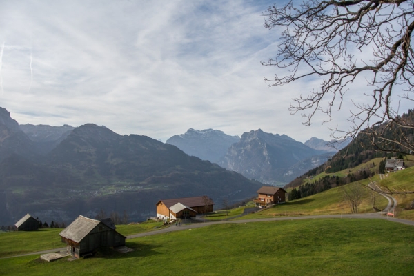 Elfes des marais et Mürtschenstock