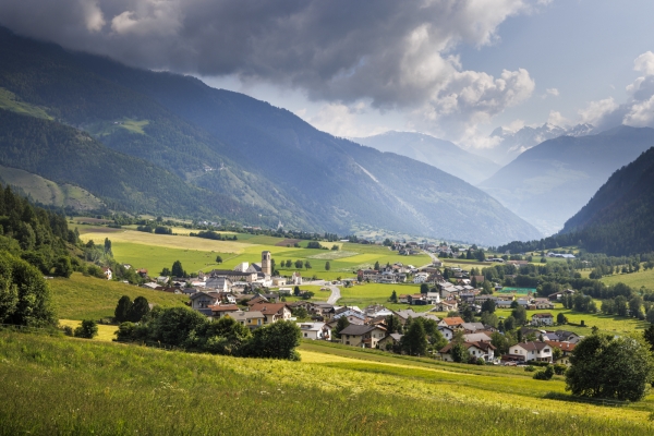 Fleurs et panorama au-dessus du Val Müstair