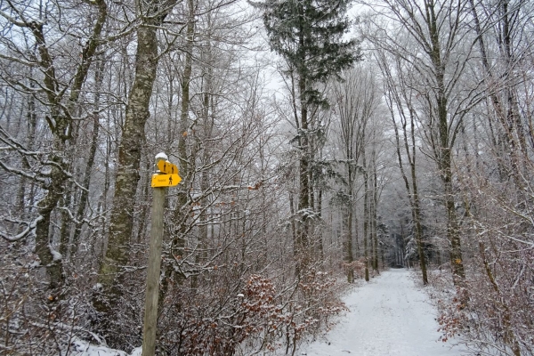 Wanderung im Reiat im Naturpark Schaffhausen