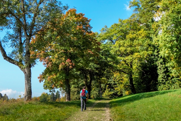 Balade au sommet à Delémont