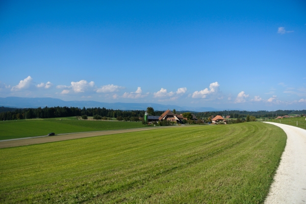 Vom Bauerndorf in die Emmenstadt