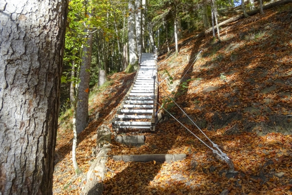 Schattige Gräben und sonnige Höhen im Appenzell