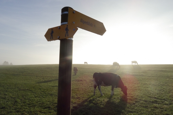 Grenzwandern in Schaffhausen