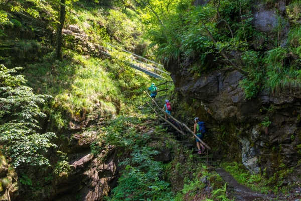 Kastanien, Steintreppen und Rustici