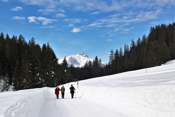 Von Klosters zur Alp Garfiun