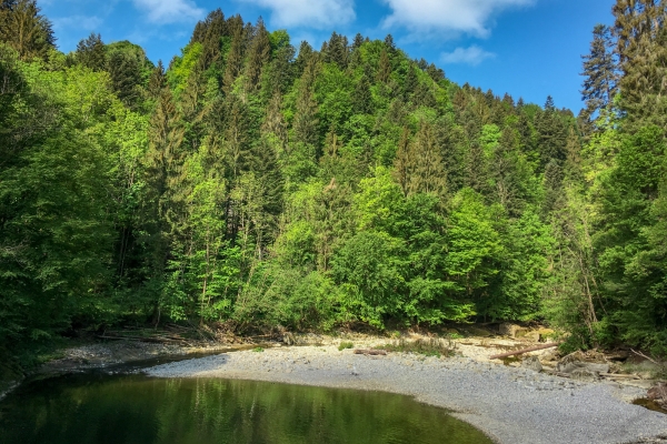 Belles vues sur le Eggen Höhenweg