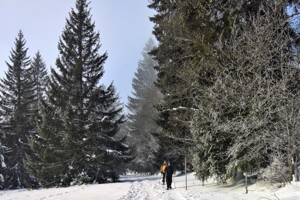 En raquettes au Mont-Soleil