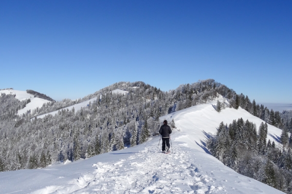 Toute la journée dans la neige 