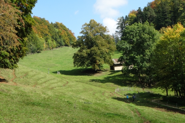 Zum höchsten Punkt in Delémont