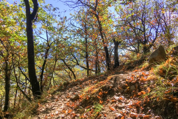 Drahtseilakt über der Sementinaschlucht