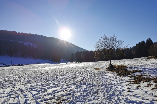 Pâturages blancs dans le Jura bernois