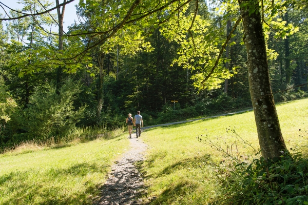 Nachmittagswanderung nahe St. Gallen