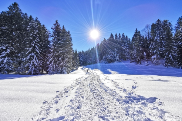 Gesperrt: Schneeschuhrunde im Toggenburg