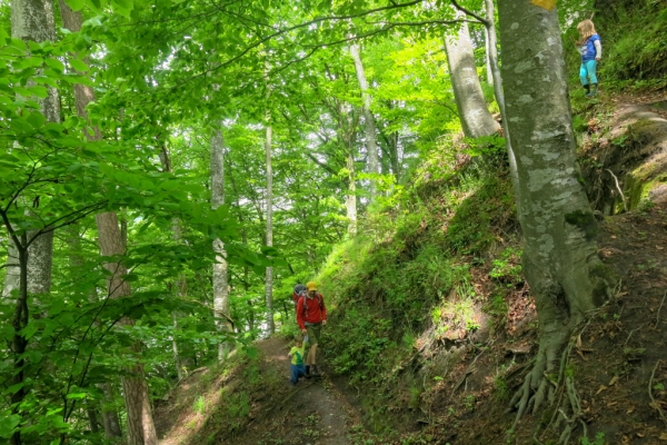 Emmentaler Sandsteinbrüche