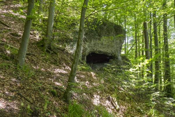 Im Land der Eulen am zürcherischen Irchel