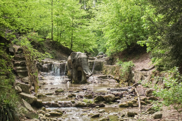 L’éléphant au fond du ravin