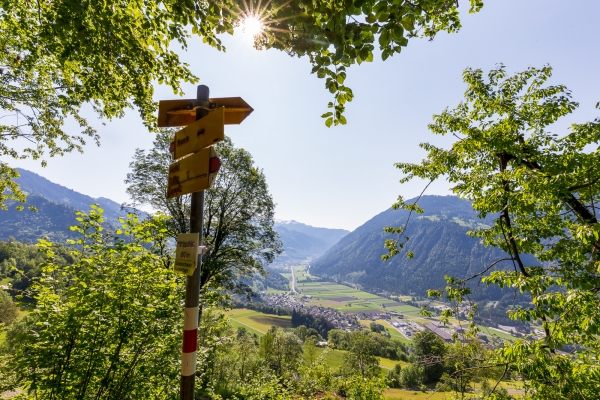 Über den Crupspitz von Seewis nach Malans