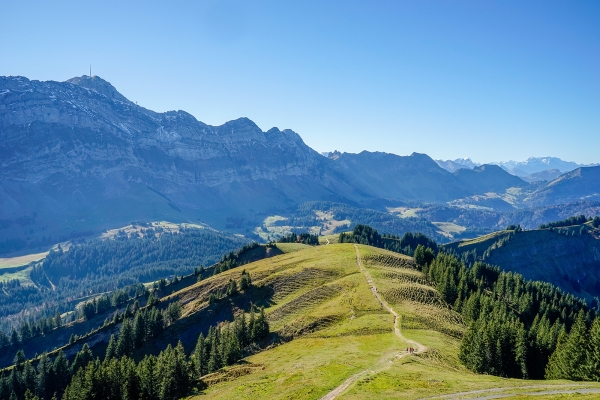 Du Kronberg à Weissbad, les yeux sur le Säntis