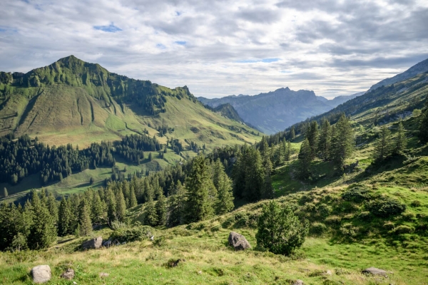 Zwischen den Tälern