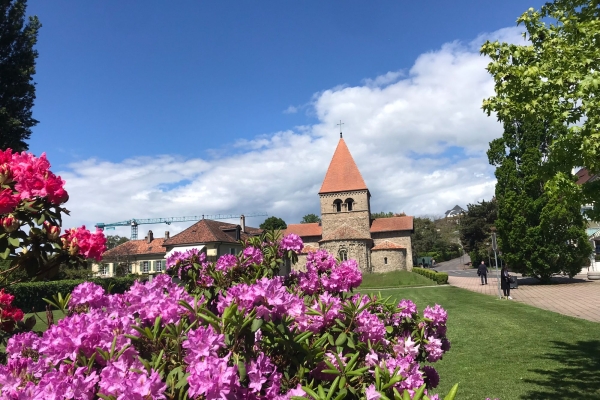 Randonnée au bord du lac Léman