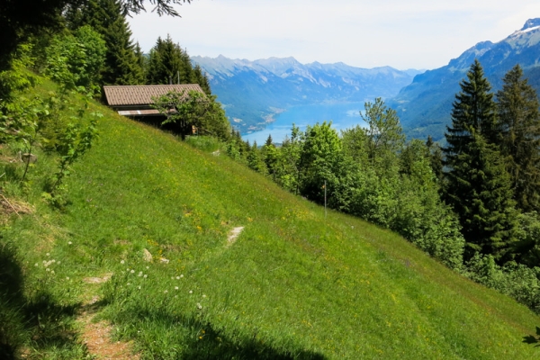 Eindrückliche Saxetenschlucht