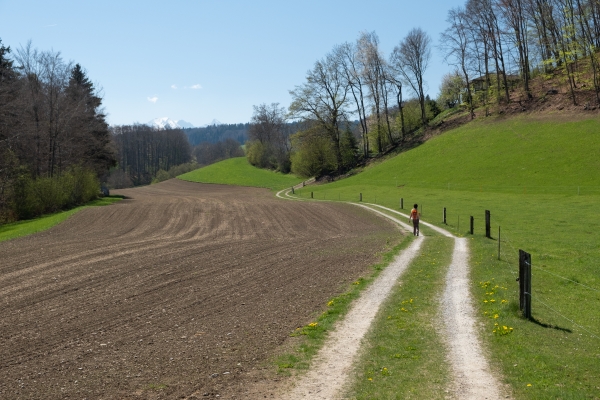 Sur le chemin panoramique du Gürbetal