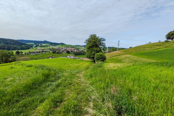 Gemütliche Wanderung am Rande des Emmentals