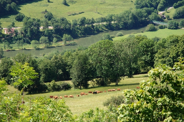 Le Jura et les traces de l’ère primaire 