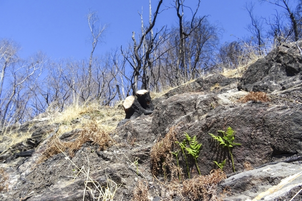 An sonnigen Hängen im Centovalli